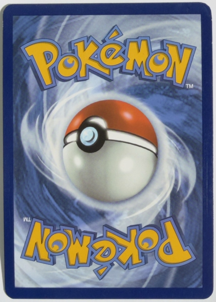 Seismitoad, dorso