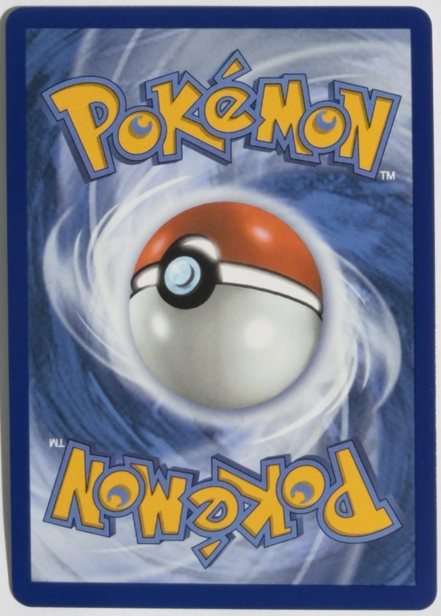 N's Zoroark ex, dorso