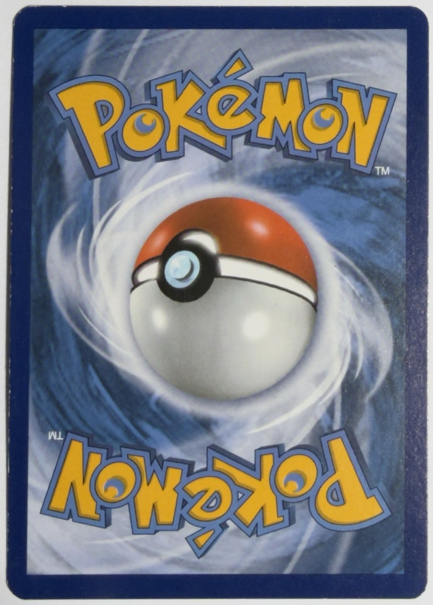 Camerupt EX (146 Full Art), dorso