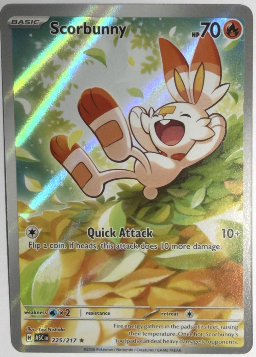 Scorbunny, frente
